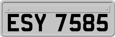 ESY7585