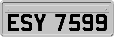 ESY7599