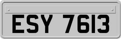 ESY7613