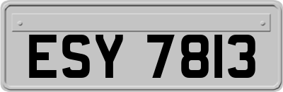 ESY7813