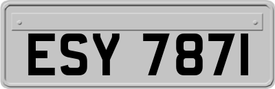 ESY7871