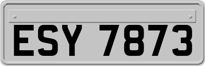 ESY7873