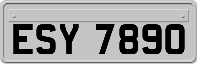 ESY7890