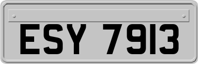 ESY7913