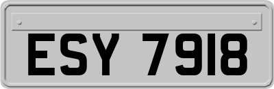 ESY7918