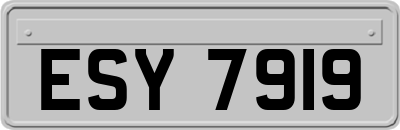 ESY7919