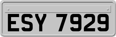 ESY7929