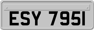 ESY7951