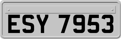 ESY7953