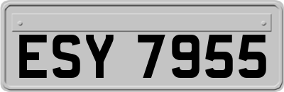 ESY7955