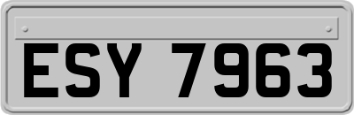 ESY7963