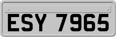 ESY7965