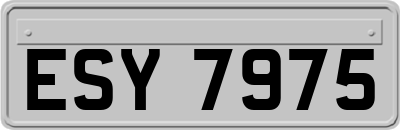 ESY7975