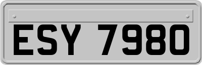 ESY7980