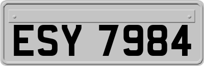 ESY7984