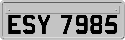 ESY7985