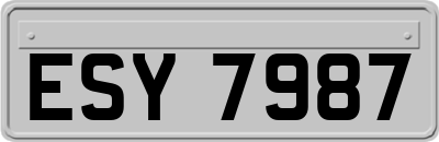 ESY7987
