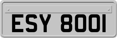 ESY8001