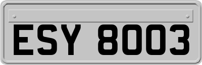 ESY8003