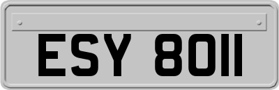 ESY8011