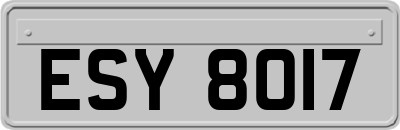 ESY8017