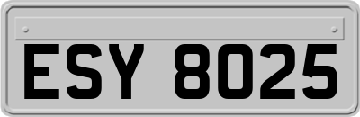 ESY8025