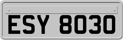 ESY8030