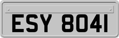 ESY8041