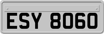 ESY8060