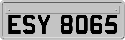 ESY8065