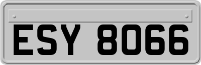 ESY8066