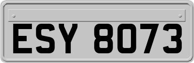ESY8073