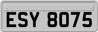 ESY8075