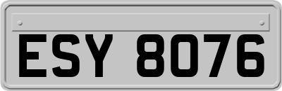 ESY8076