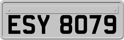 ESY8079
