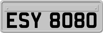 ESY8080