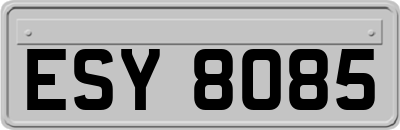 ESY8085