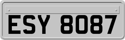 ESY8087