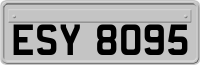 ESY8095