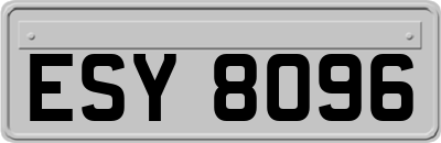 ESY8096