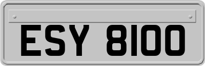 ESY8100