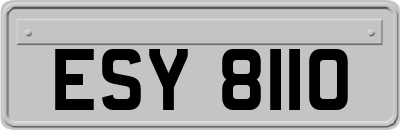 ESY8110