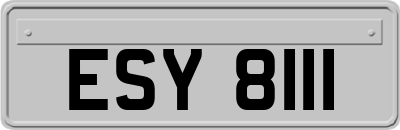 ESY8111