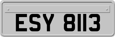 ESY8113