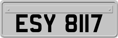 ESY8117