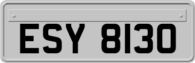 ESY8130