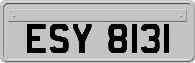 ESY8131