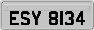 ESY8134