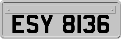 ESY8136