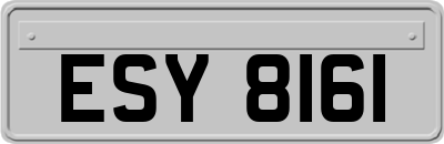 ESY8161